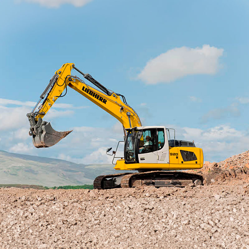 R 920 Litronic