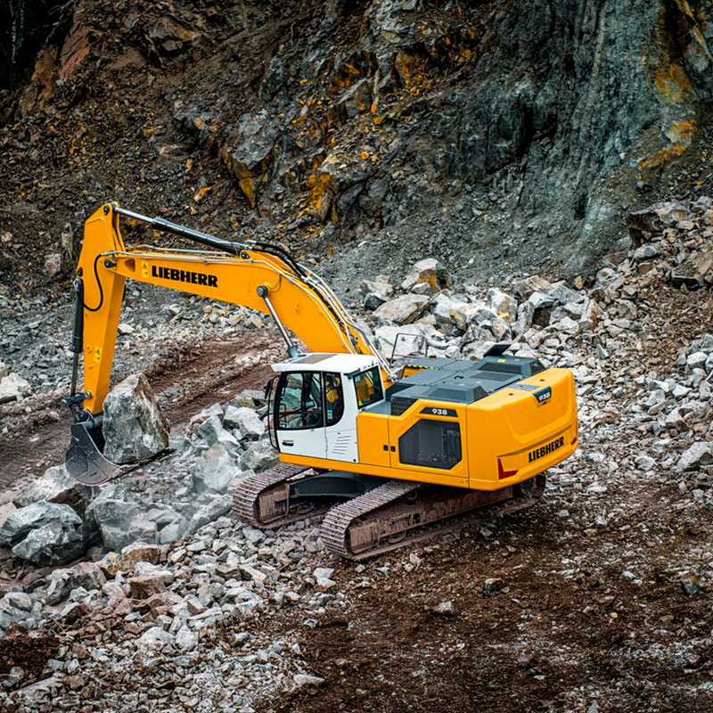 R 938 Litronic